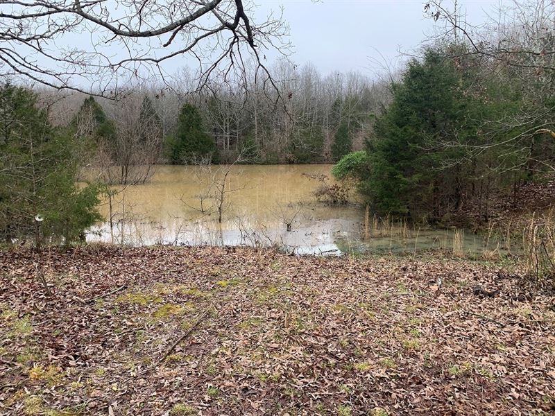 Acreage In Ash Flat, Arkansas Land for Sale in Ash Flat, Sharp County