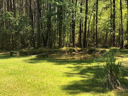 Beautiful 1 Ac With Home : Gloster : Amite County : Mississippi