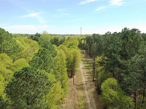 Wooded Acreage : Anderson : South Carolina