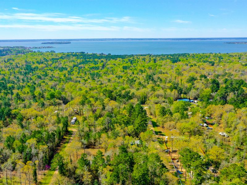 Wooded Lot Near Lake Livingston : Livingston : Polk County : Texas
