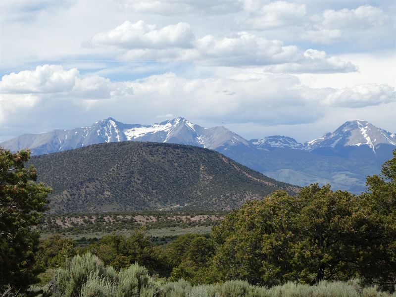 Beautiful 5 Acres, Trees and Views : Fort Garland : Costilla County : Colorado