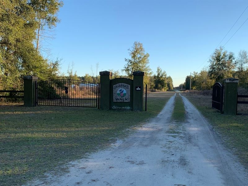pilgrims live oak fl pilgrims live oak fl