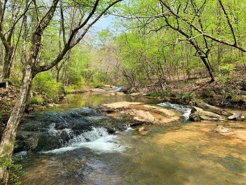 N Moss Flat Rd Tract : Camp Hill : Tallapoosa County : Alabama