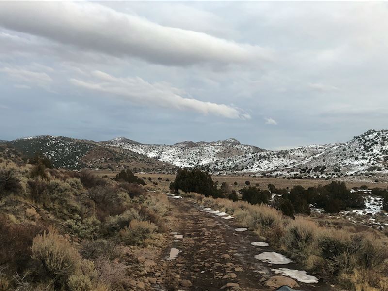 40 Acre Mountain Paradise Near Reno : Virginia City : Storey County : Nevada