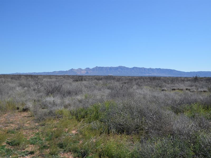 Just Reduced, 47 Acres Vacant Land : McNeal : Cochise County : Arizona