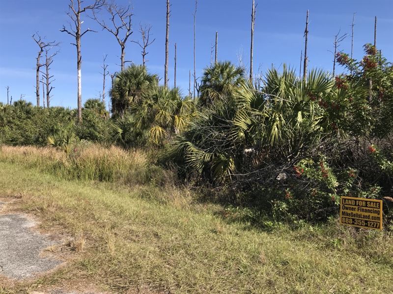 Camp, Live Off Grid, or Investment : North Port : Sarasota County : Florida