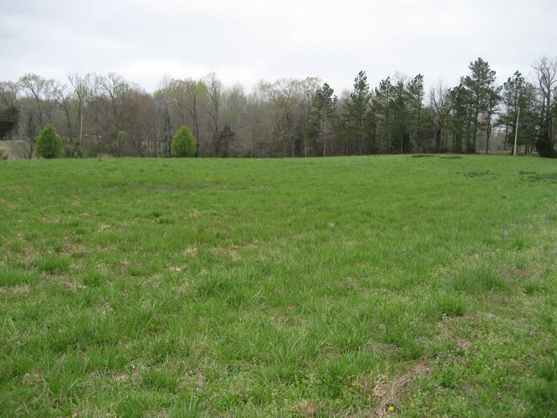 Land To Build McNairy County TN : Adamsville : McNairy County : Tennessee