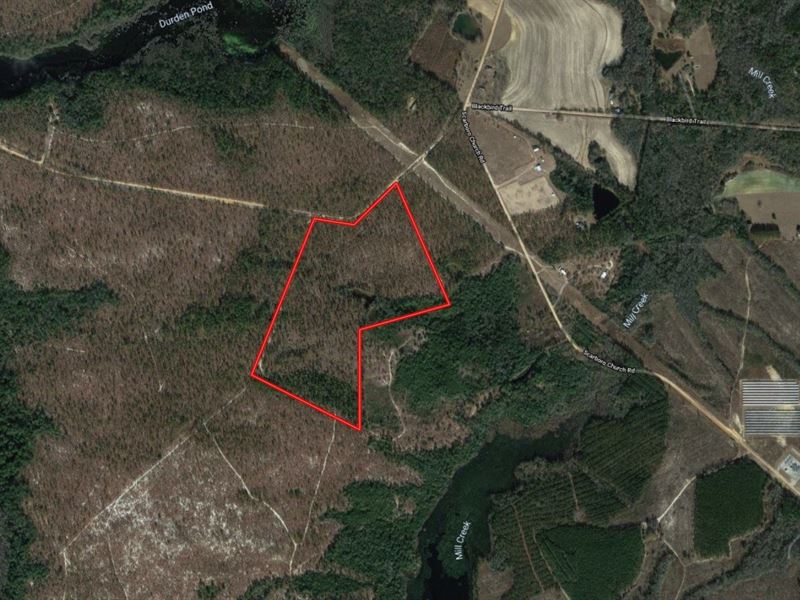 58 Acres For Sale in Emanuel County Land for Sale in Twin City