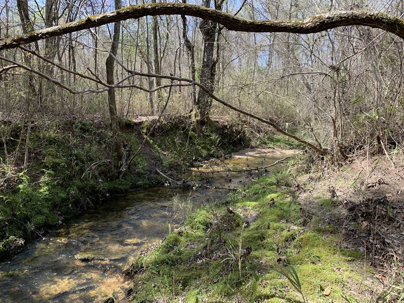 31.73 Wooded Acres with Stream : Rockmart : Paulding County : Georgia