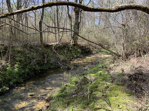 Rockmart Georgia Woods Land For Sale Landflip Rockmart Georgia Woods Land For Sale Landflip