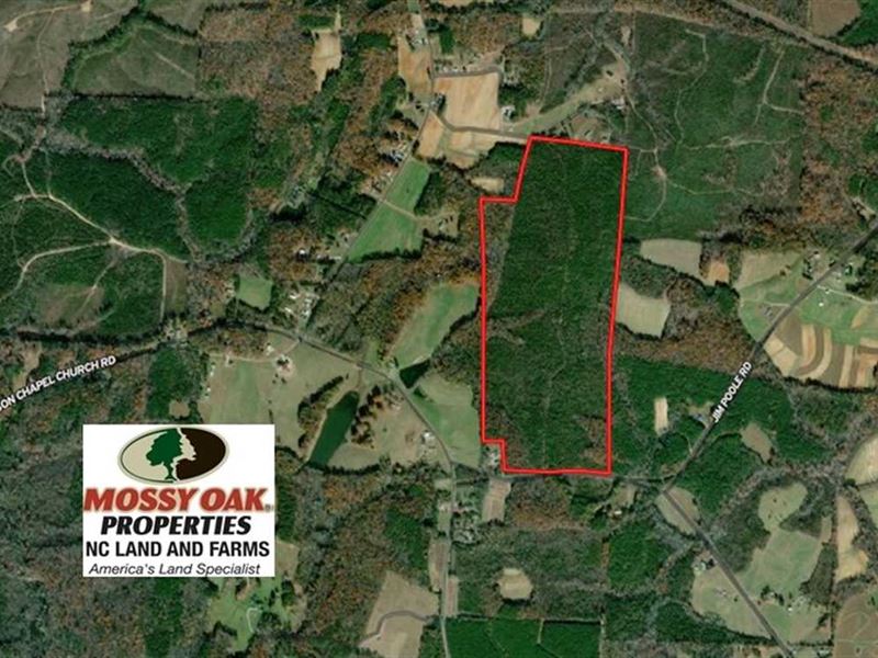 137.93 Acres Land for Sale in Roxboro, Person County, North Carolina