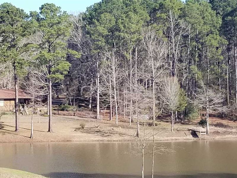 The Ponderosa Acres, Sabine Parish Land for Sale in Zwolle, Sabine