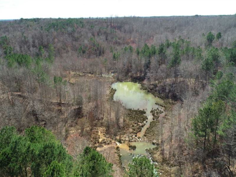 49 Acres Rd 233, Baldwyn, MS : Baldwyn : Union County : Mississippi