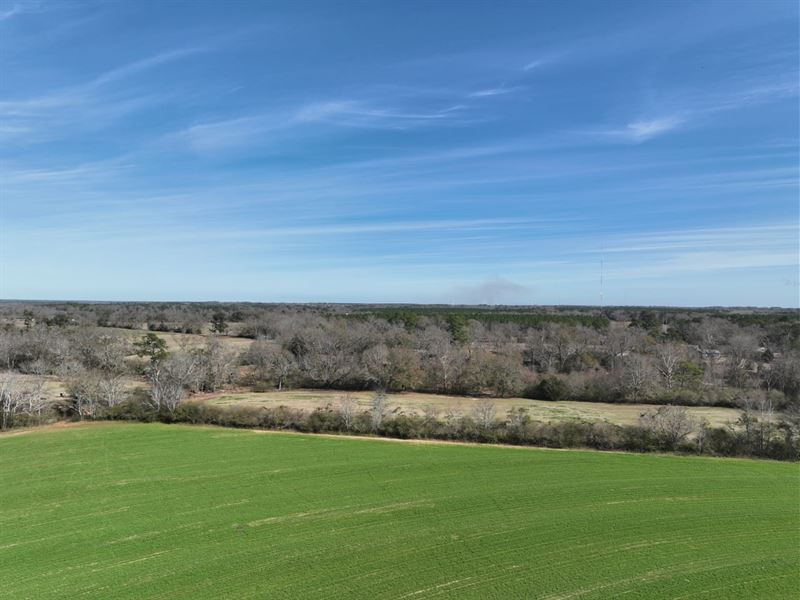 Scenic Country Living Experience : Dothan : Houston County : Alabama