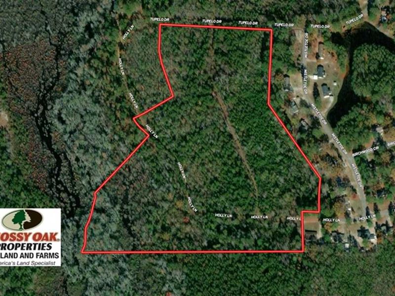 Under Contract, 25 Acres of Hunt : Laurinburg : Scotland County : North Carolina