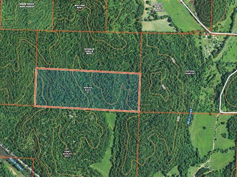 60 Acres For Sale in Wayne County Land for Sale in Greenville, Wayne