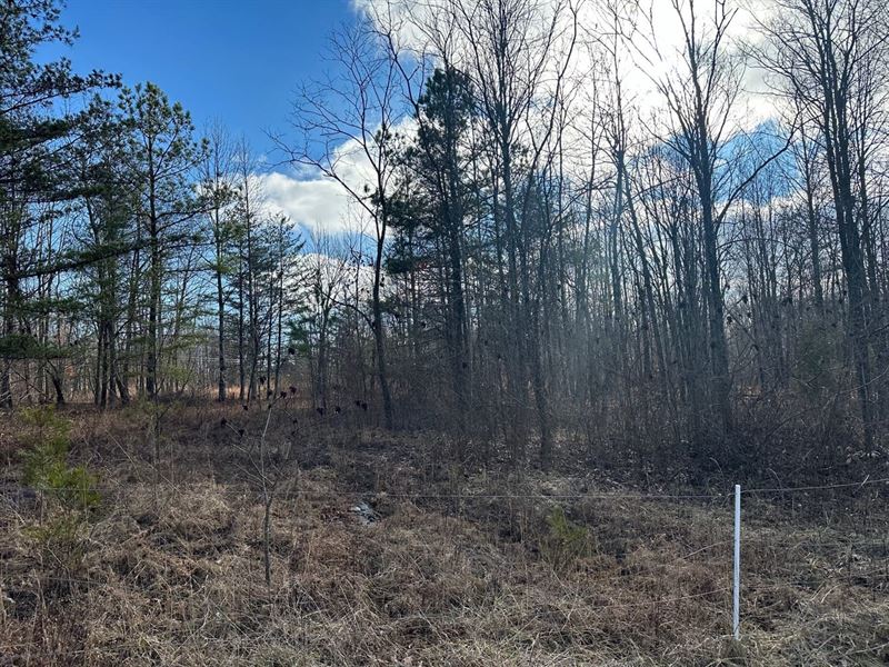 5 Acres Unrestricted Property : Palmer : Grundy County : Tennessee