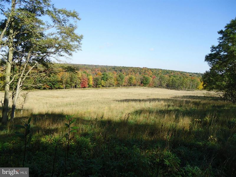 Secluded Land : Mount Storm : Grant County : West Virginia