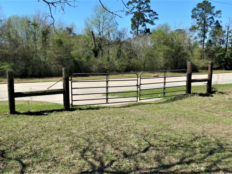 16 Acres in Conroe, Texas : Conroe : Montgomery County : Texas