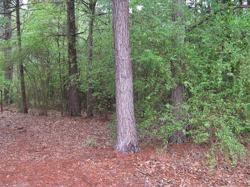 Lot Lake Palestine Community, East : Frankston : Henderson County : Texas