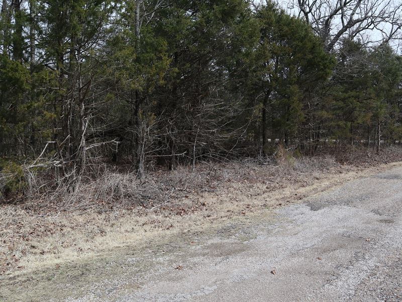 Vacant Wooded Lot Near Lake Norfork : Gamaliel : Baxter County : Arkansas