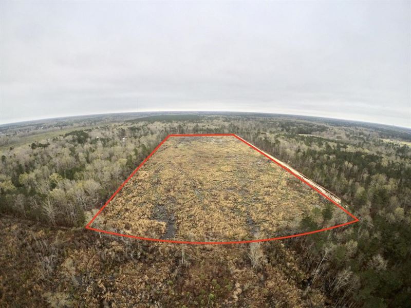 20 Acres South Pulaski County : Little Rock : Pulaski County : Arkansas