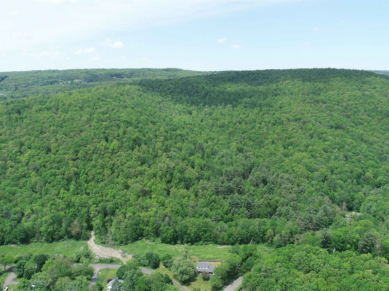 Significant Elevation with Woods : Caton : Steuben County : New York