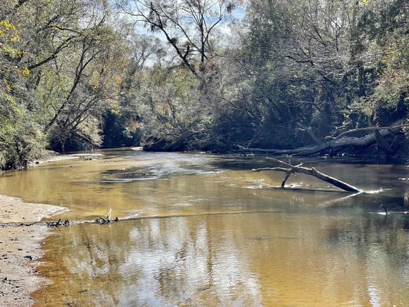 The West Hobolochitto Creek Tract : Carriere : Pearl River County : Mississippi