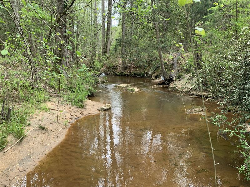 Wooded Acreage With Creek Land for Sale in Anderson, Anderson County