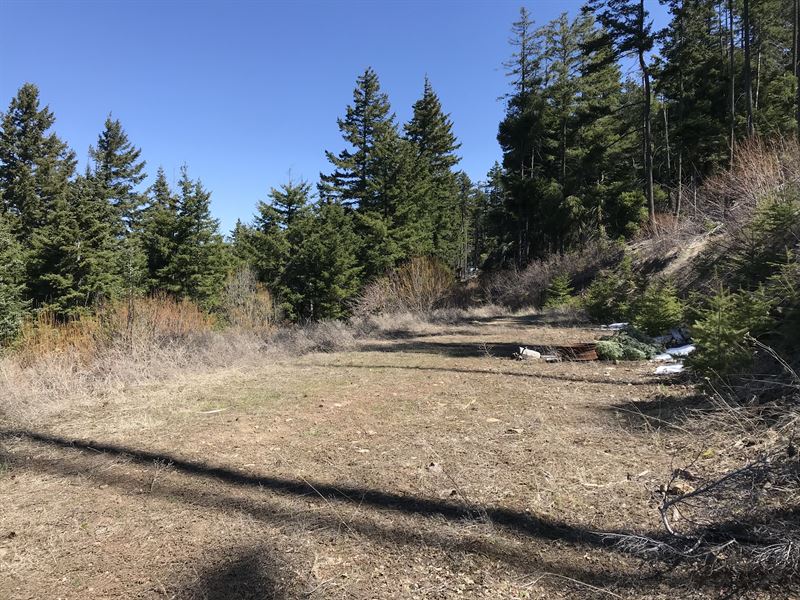 Sky Meadows Land for Sale in Cle Elum, Kittitas County, Washington