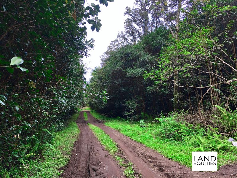 Beautiful Lot Near Black Sand Beach : Pahoa : Hawaii County : Hawaii