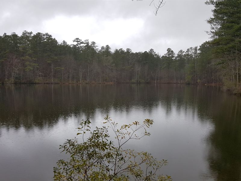 Great Timber Tract with Lake : Cataula : Harris County : Georgia