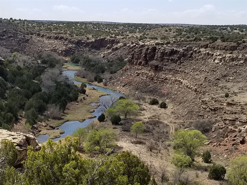 Pecos River Ranch Hunting : Santa Rosa : Guadalupe County : New Mexico