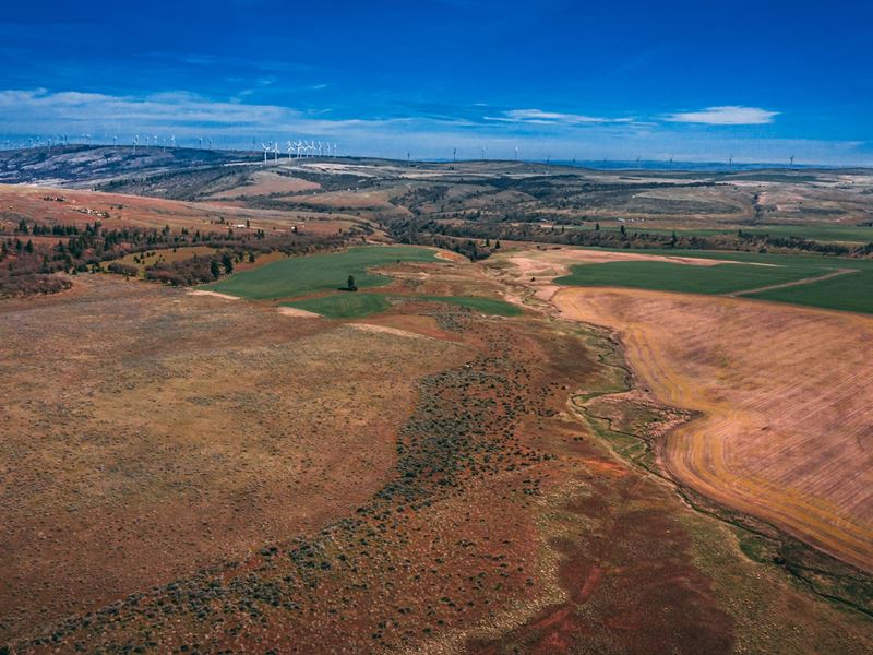 Premier Equestrian Land Goldendale : Goldendale : Klickitat County : Washington
