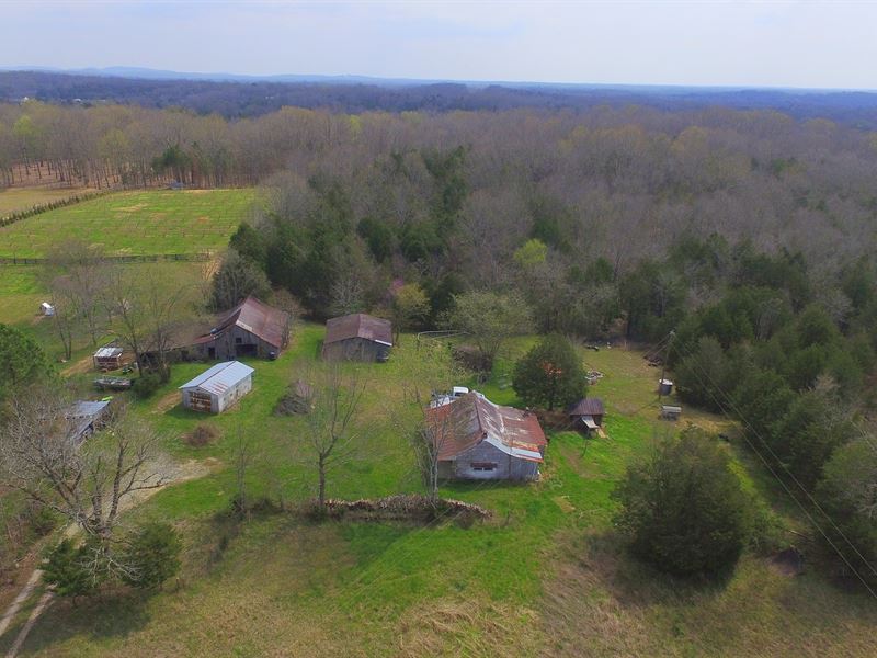 21 Ace Mini Homestead : Spring Hill : Maury County : Tennessee
