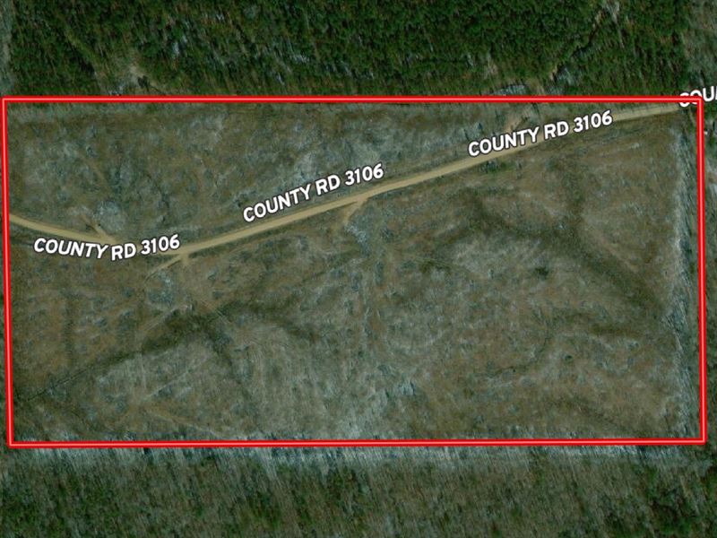 Hunting Tract in Attala Co, MS : West : Attala County : Mississippi