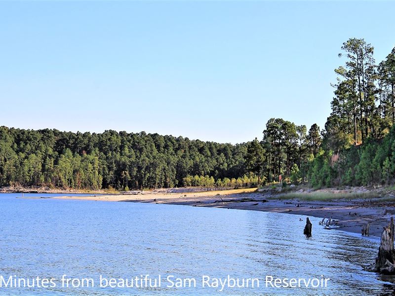 Texas Lake Sam Rayburn Half Acre : Browndell : Jasper County : Texas