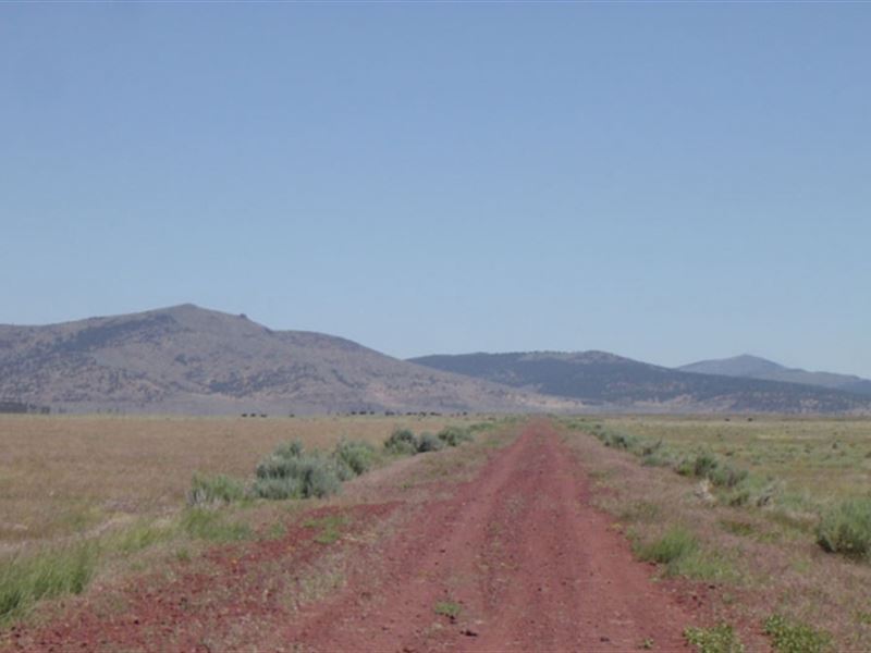 20.10 Acre in Lassen County, CA : Termo : Lassen County : California