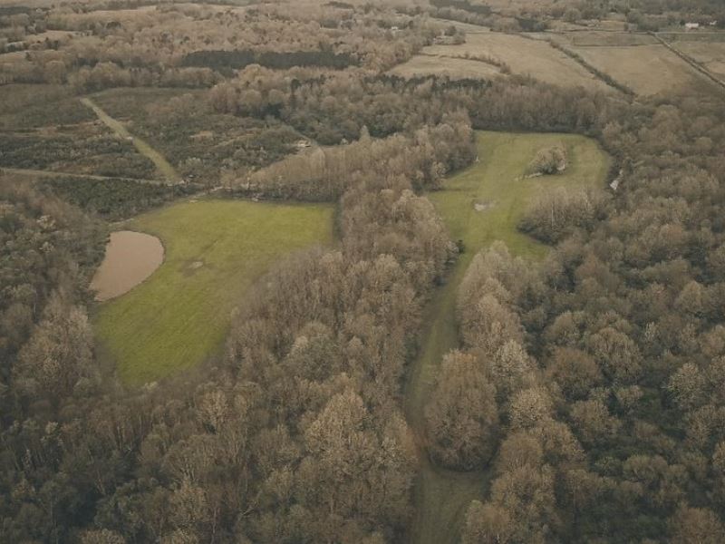 1024 Acres in Tallahatchie and Yalo : Oakland : Tallahatchie County : Mississippi