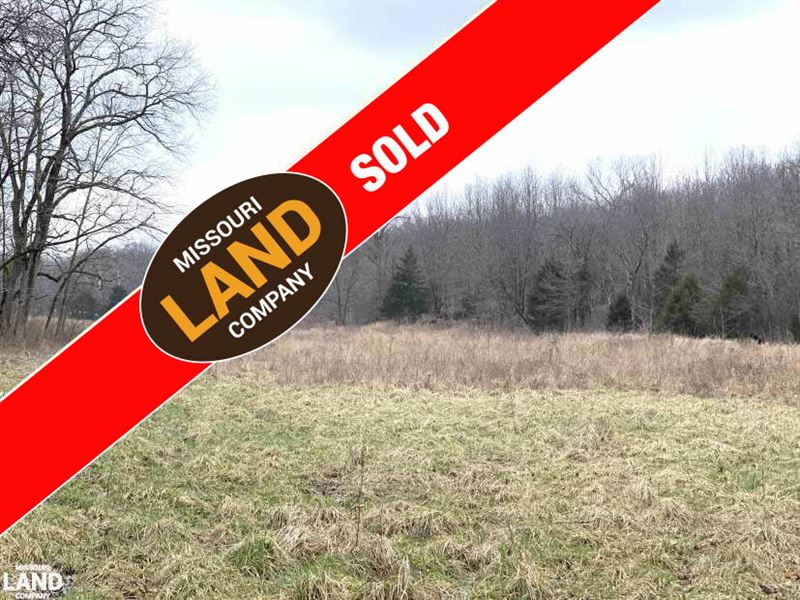 150 Acres Shouse Climax Springs, MO : Climax Springs : Camden County : Missouri