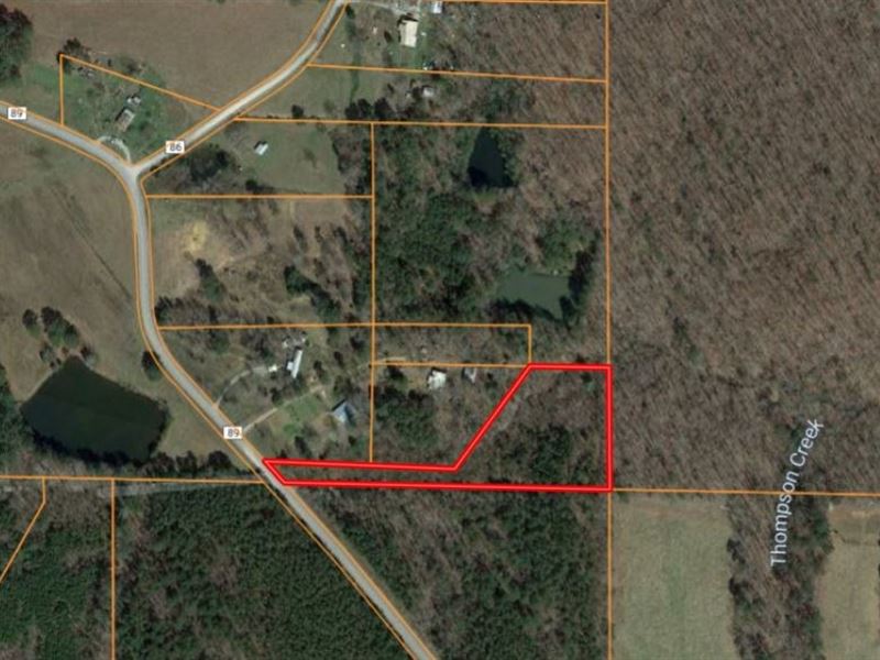 3.2 Acres in Bankhead Forest : Danville : Lawrence County : Alabama