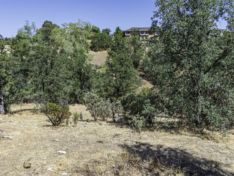 Beautiful 0.35 Acre Wooded Homesite : Redding : Shasta County : California