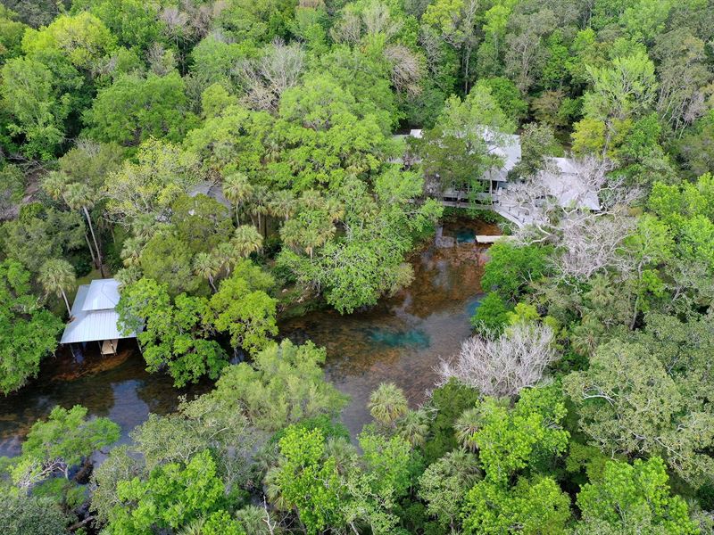 Chassahowitzka Springs Riverfront : Homosassa : Citrus County : Florida