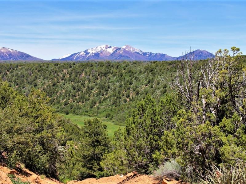 LA Plata Mountain Ranch : Hesperus : La Plata County : Colorado