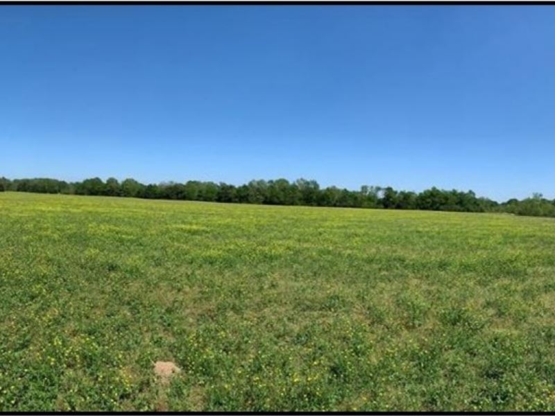 7 c Acres in Madison County in Gl : Gluckstadt : Madison County : Mississippi