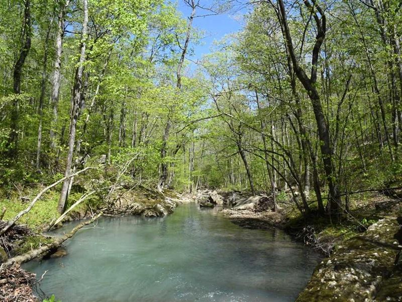 Akins Creek 240 : Clinton : Van Buren County : Arkansas
