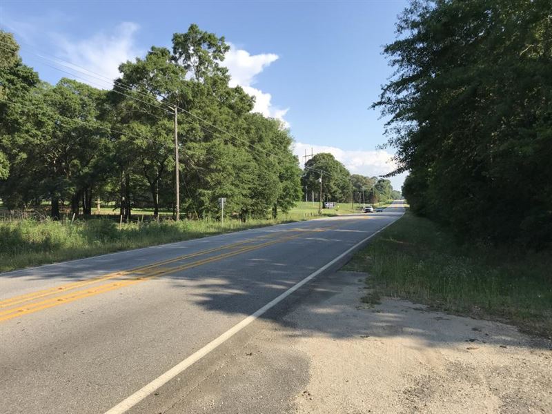 Celeste Salco Road Development, Land for Sale in Alabama, 238185