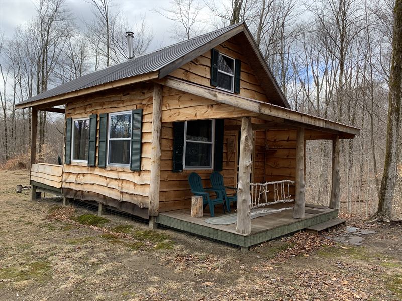 Cabin on Hope Hill Land for Sale in Annsville, Oneida County, New