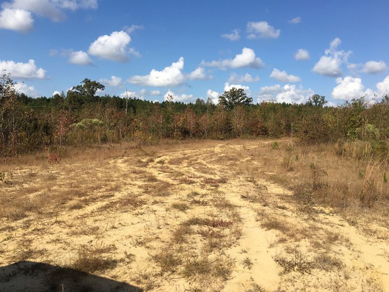 Land, Sand Rd, Starkville, MS Land for Sale in Starkville, Oktibbeha