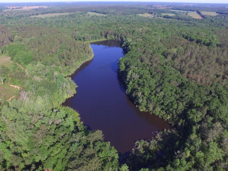 Timber, Lake, Creeks, Great Hunting Land for Sale in Coffee Springs